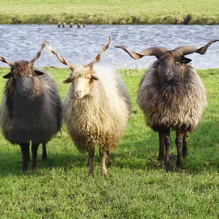 Welcome By Bianca Jisp