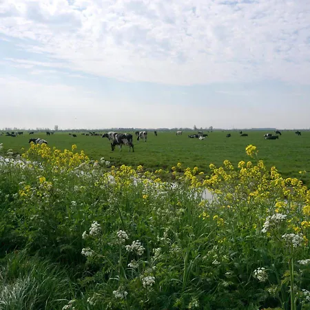 別荘 Welcome By Bianca Jisp