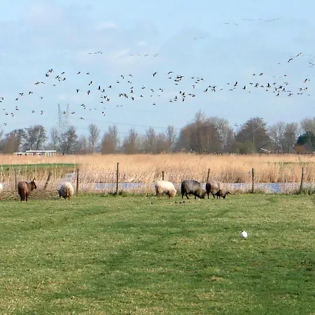 Casa vacanze Welcome By Bianca *