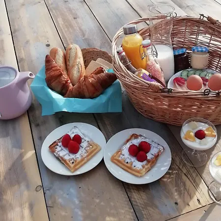 Welcome By Bianca Jisp