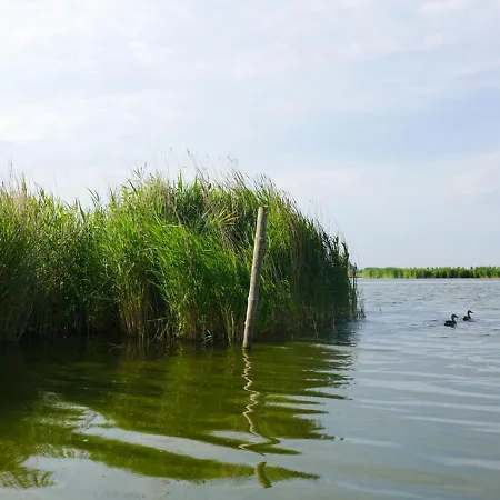 Welcome By Bianca * Jisp