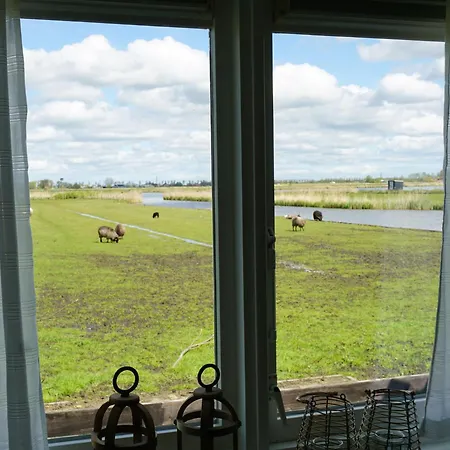 Welcome By Bianca Jisp