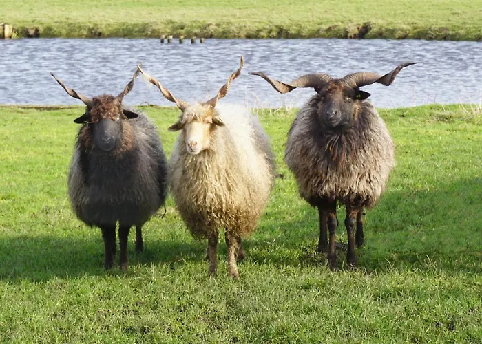 Welcome By Bianca Jisp