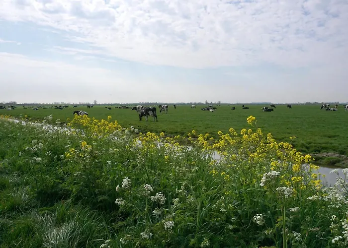 بيت للعطل Welcome By Bianca Jisp