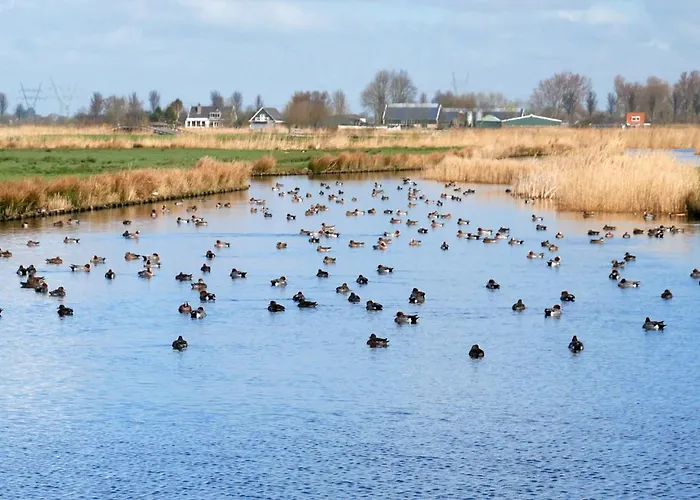 Welcome By Bianca Сasa de vacaciones