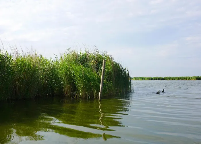 Welcome By Bianca * Jisp