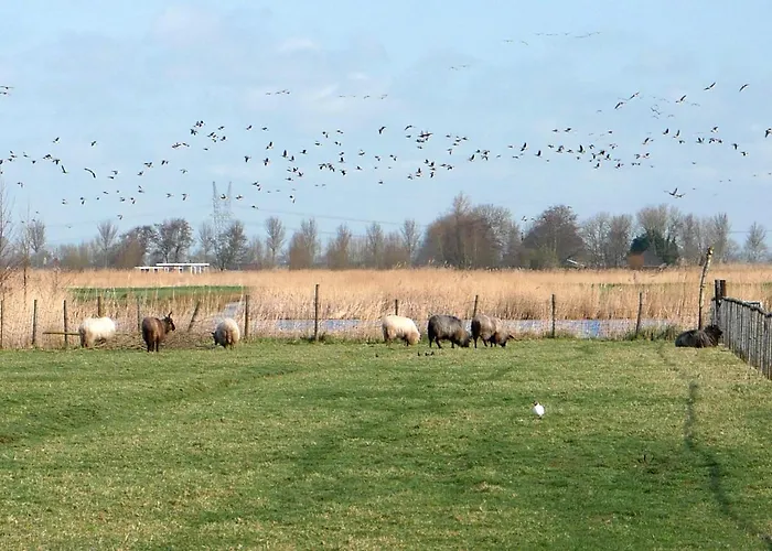 度假居 Welcome By Bianca *